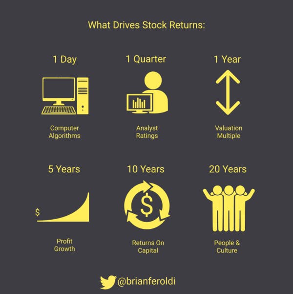 🧠 What Drives Stock Returns